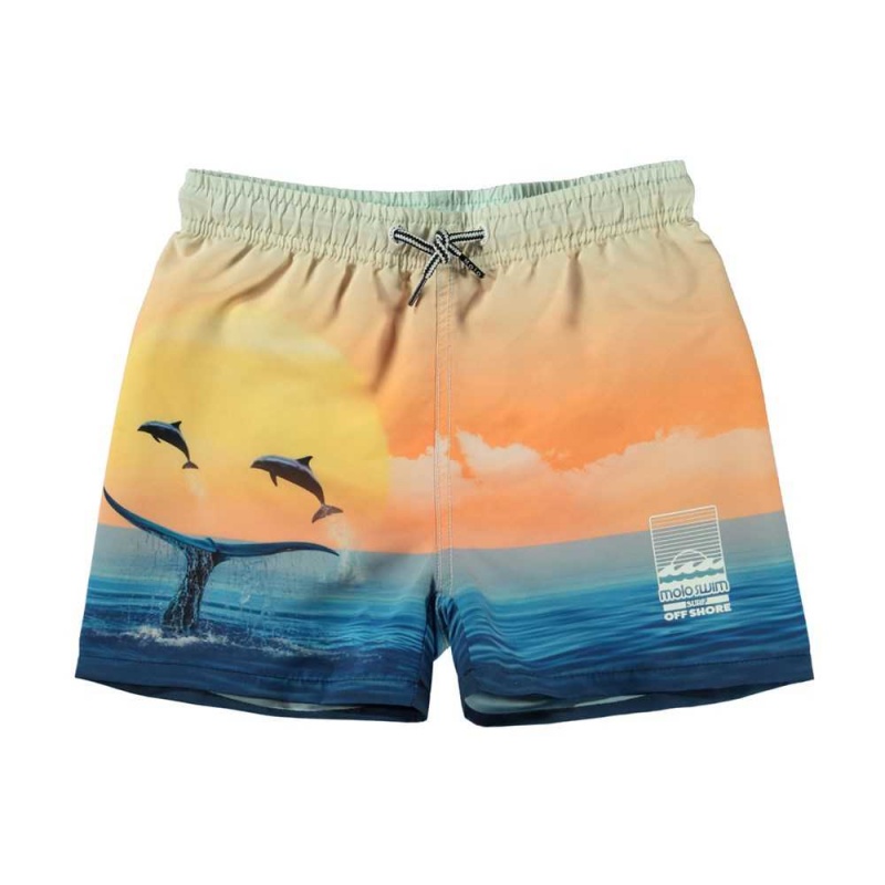 Swimshorts Molo Niko Ocean Smile | PL0001143