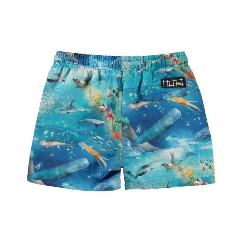 Swimshorts Molo Niko Ocean Zones | PL0001137