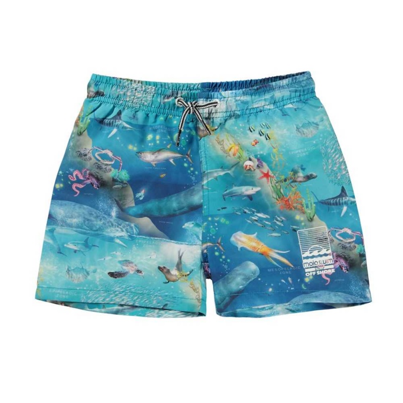 Swimshorts Molo Niko Ocean Zones | PL0001137