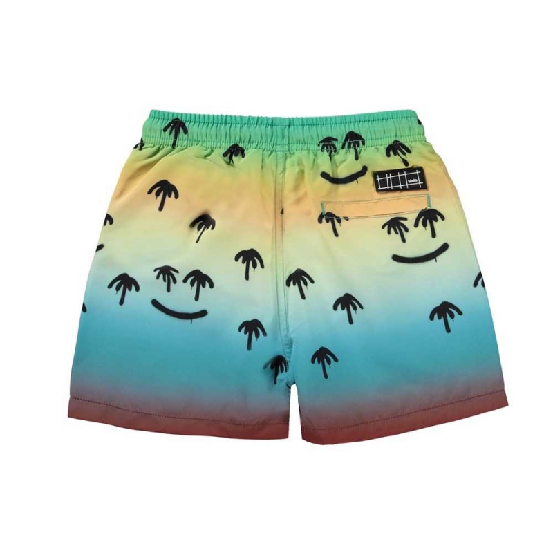 Swimshorts Molo Niko Palm Spray | PL0001117