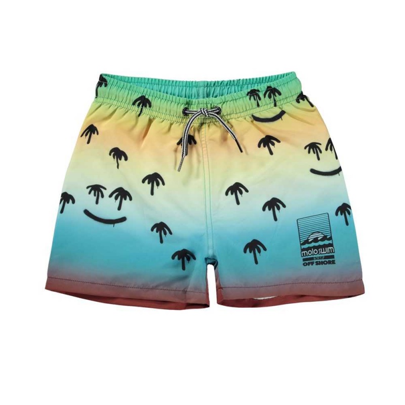 Swimshorts Molo Niko Palm Spray | PL0001117