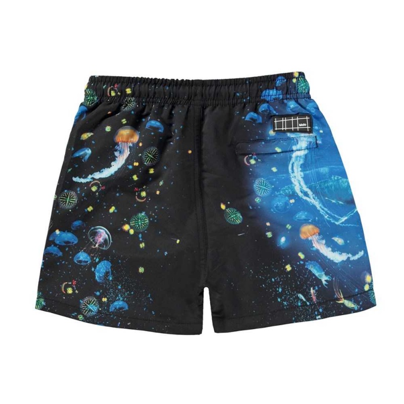 Swimshorts Molo Niko Plankton | PL0001159