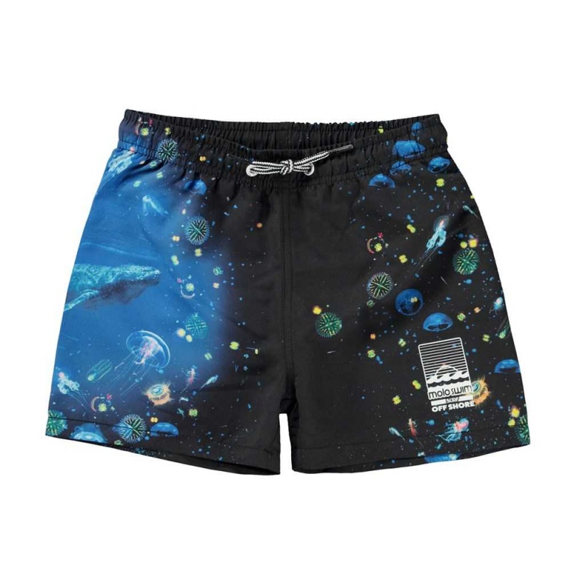 Swimshorts Molo Niko Plankton | PL0001159