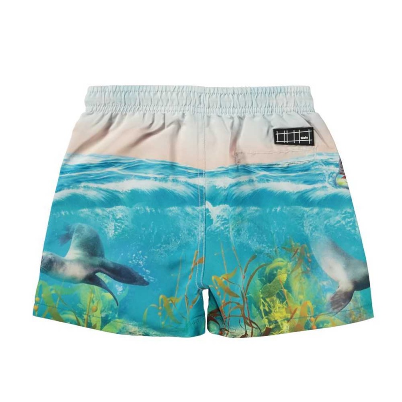 Swimshorts Molo Niko Sealion | PL0001116