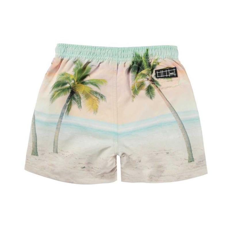 Swimshorts Molo Niko Sunrise Surfer | PL0001120