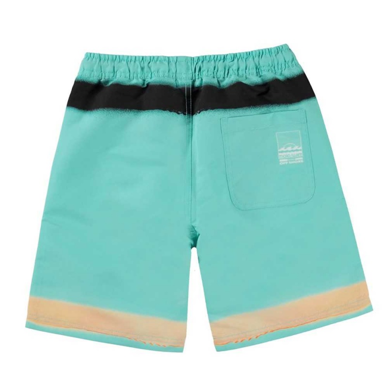 Swimshorts Molo Nilson Spray On Aqua | PL0001125