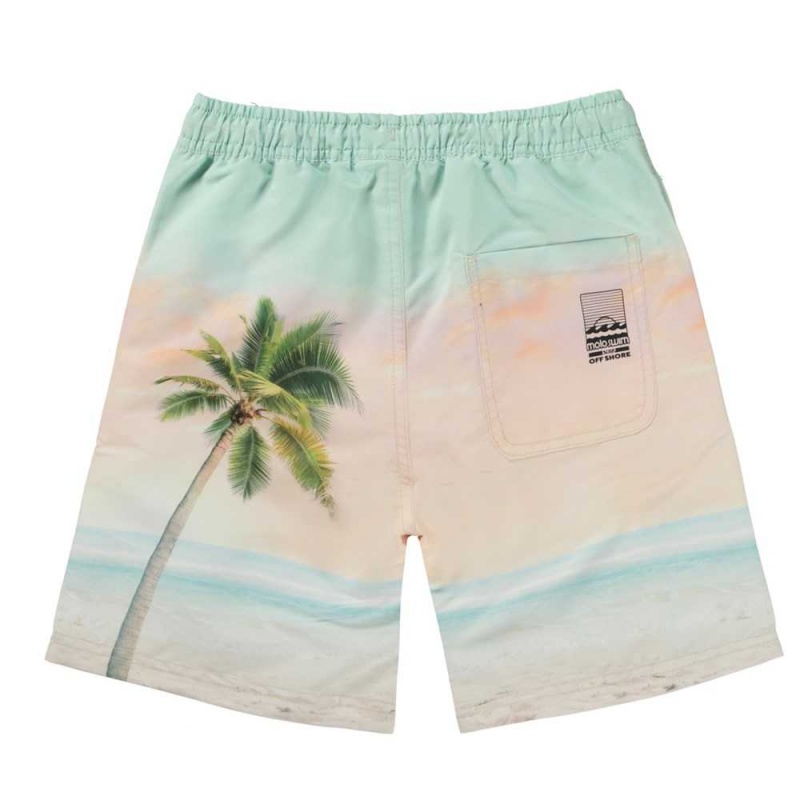 Swimshorts Molo Nilson Sunrise Surfer | PL0001123