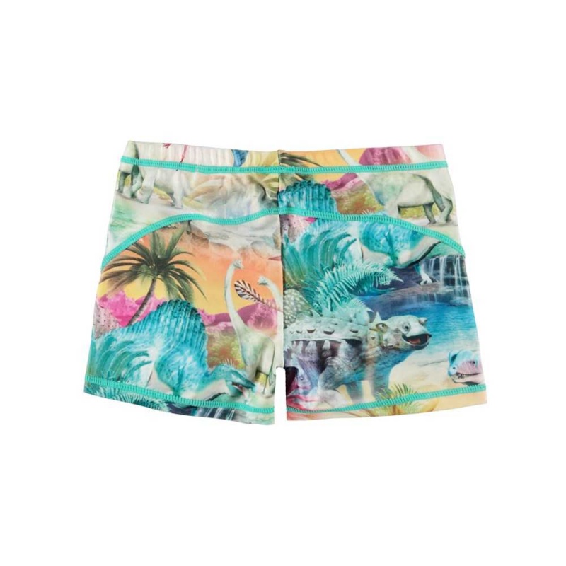 Swimshorts Molo Norton Dino Paradis | PL0001133