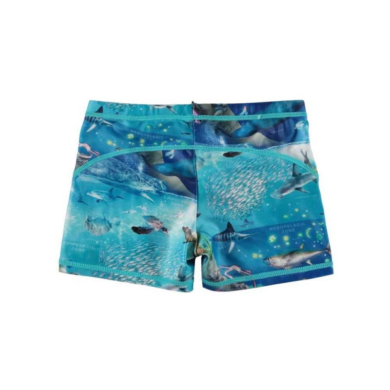 Swimshorts Molo Norton Ocean Zones | PL0001136