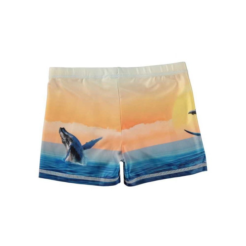 Swimshorts Molo Norton Placed Ocean Smile | PL0001144