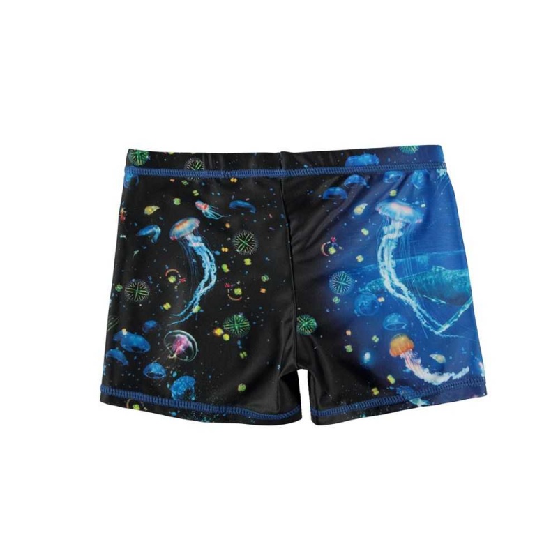 Swimshorts Molo Norton Placed Plankton | PL0001151