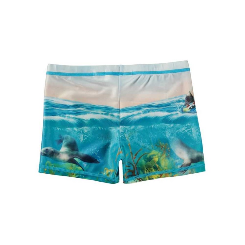 Swimshorts Molo Norton Placed Sealion | PL0001114