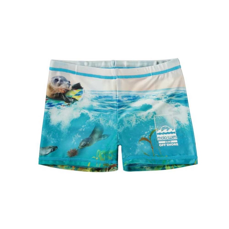 Swimshorts Molo Norton Placed Sealion | PL0001114