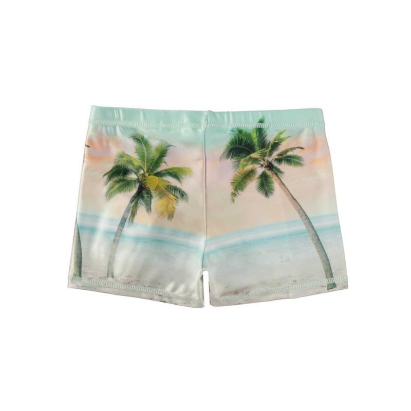 Swimshorts Molo Norton Placed Sunrise Surfer | PL0001119