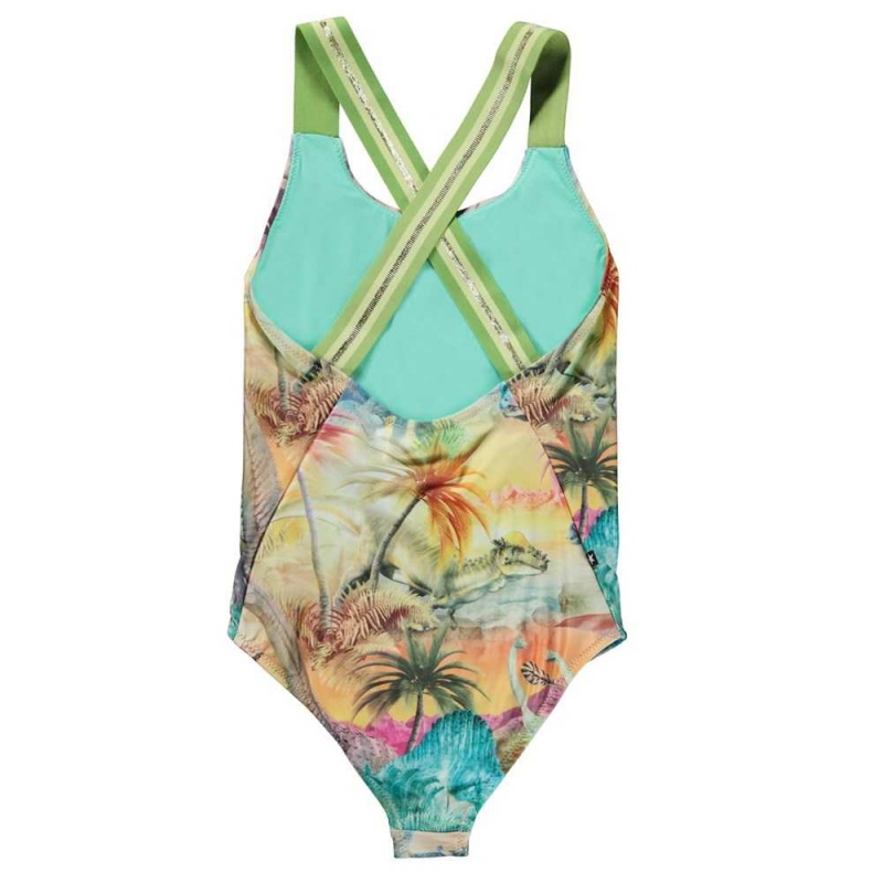 Swimsuits Molo Neve Dino Paradis | PL0001204