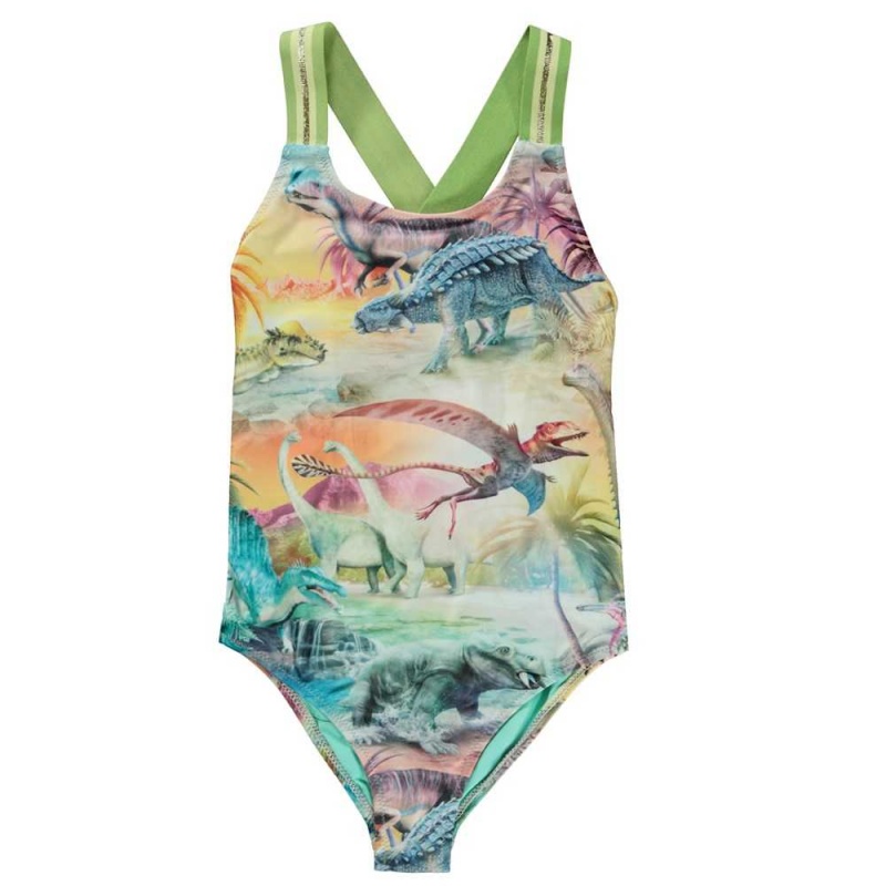 Swimsuits Molo Neve Dino Paradis | PL0001204