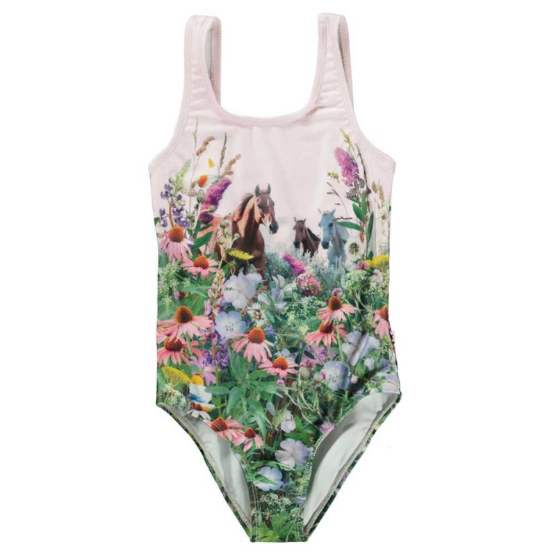 Swimsuits Molo Nika Wild Horses | PL0001208