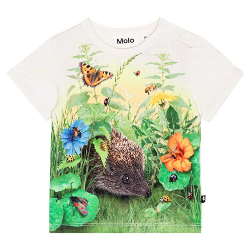 T Shirts Tops Chłopięce Molo Easy Living Garden | PL0001420