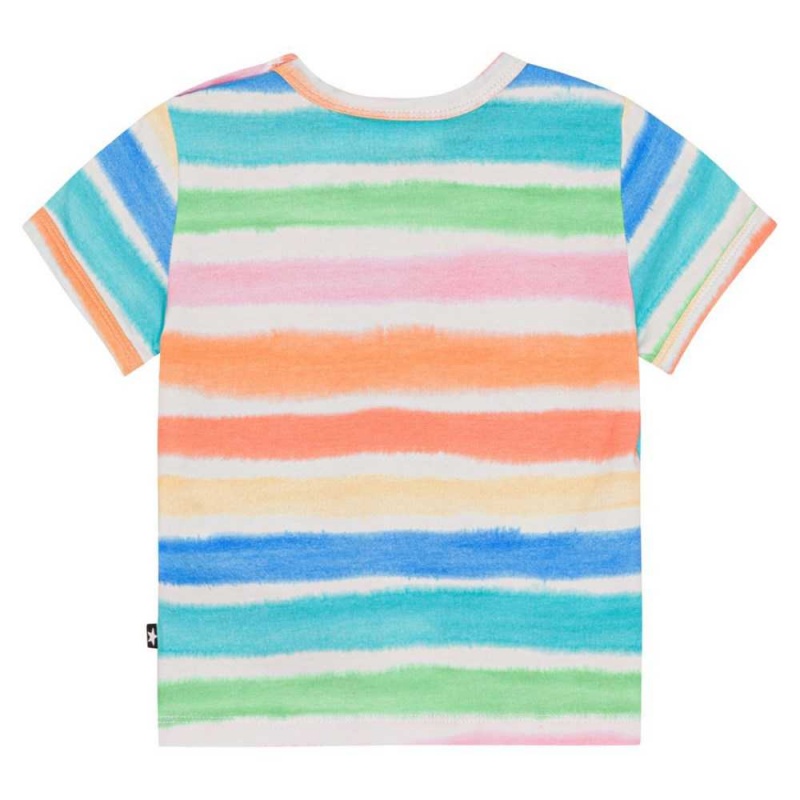 T Shirts Tops Chłopięce Molo Easy Multi Colours | PL0001410