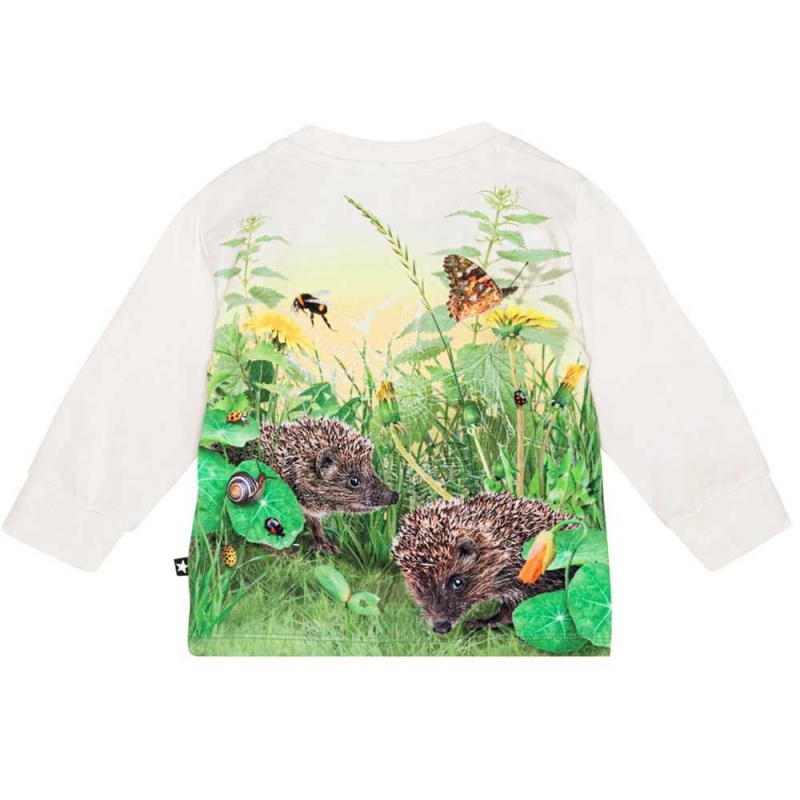 T Shirts Tops Chłopięce Molo Eloy Living Garden | PL0001417