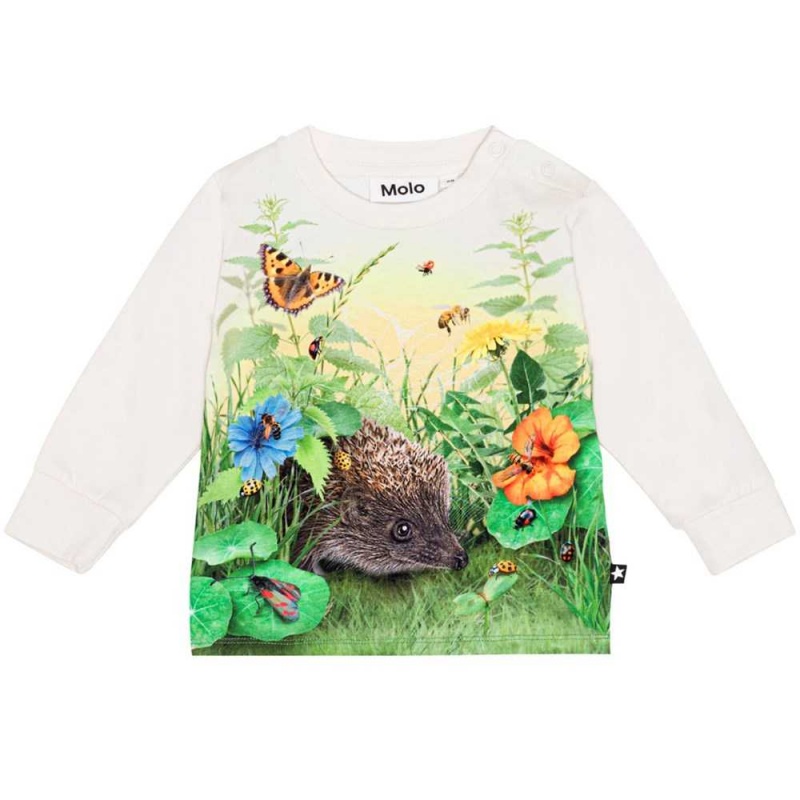 T Shirts Tops Chłopięce Molo Eloy Living Garden | PL0001417