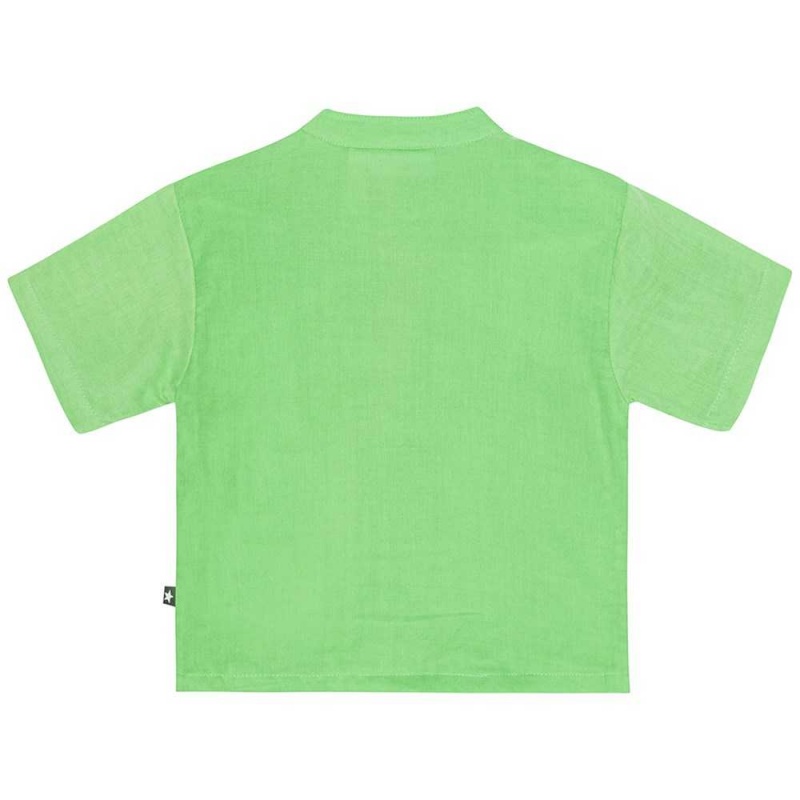 T Shirts Tops Chłopięce Molo Ever Grass Green | PL0001419