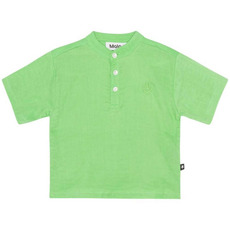 T Shirts Tops Chłopięce Molo Ever Grass Green | PL0001419