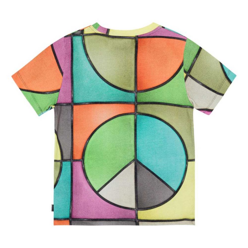 T Shirts Tops Chłopięce Molo Ralphie Basket Colour | PL0000779