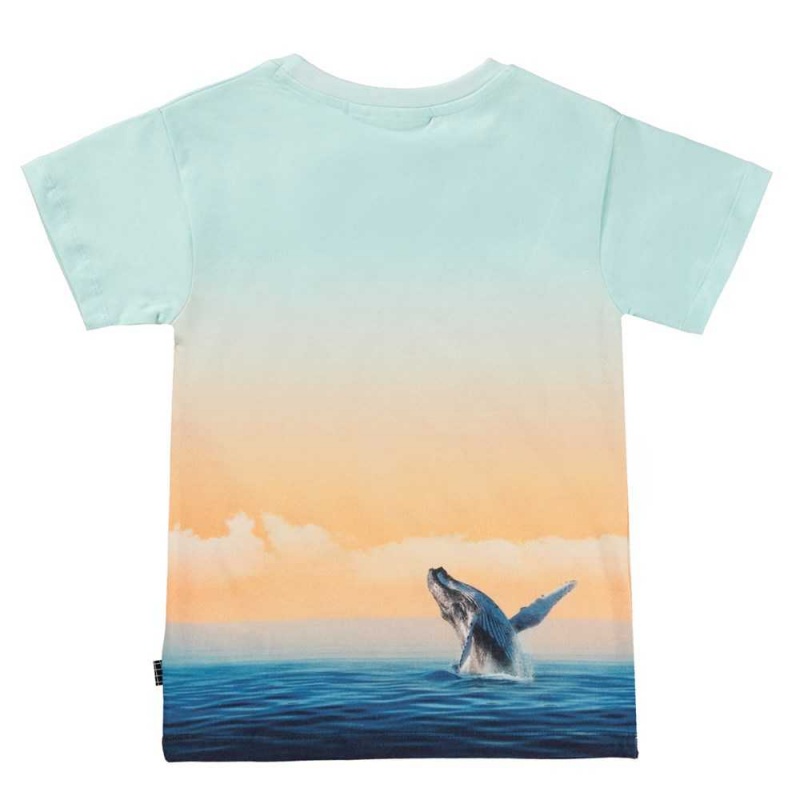 T Shirts Tops Chłopięce Molo Raul Ocean Smile | PL0000631