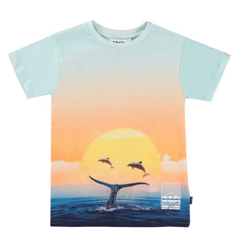 T Shirts Tops Chłopięce Molo Raul Ocean Smile | PL0000631