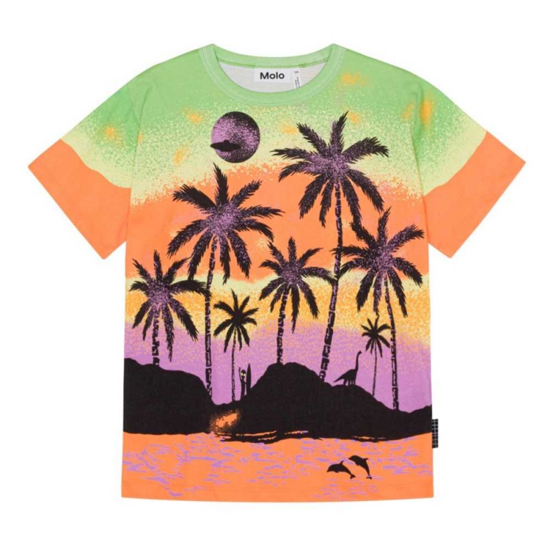 T Shirts Tops Chłopięce Molo Riley Alien Island | PL0000773