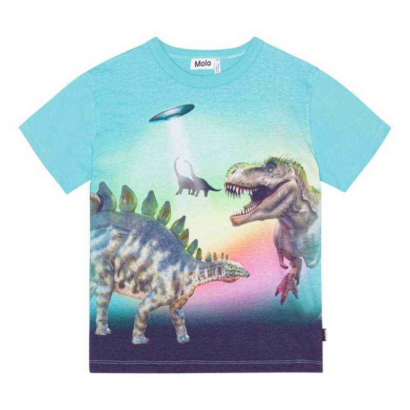 T Shirts Tops Chłopięce Molo Riley Beaming Dinos | PL0000829