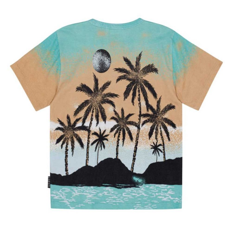 T Shirts Tops Chłopięce Molo Riley Holiday Island | PL0000778