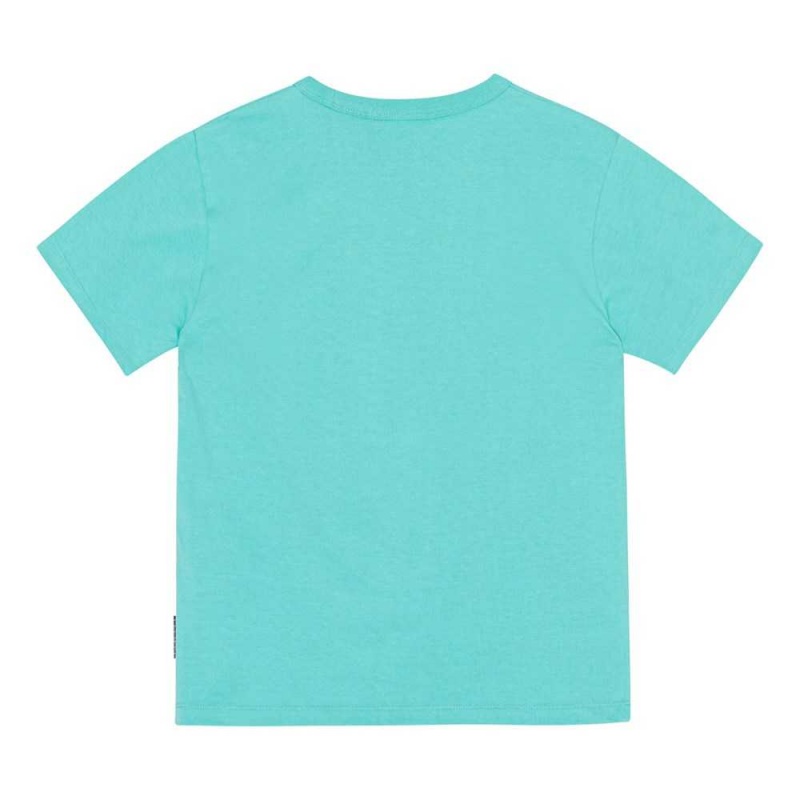 T Shirts Tops Chłopięce Molo Riley Pacific | PL0000830