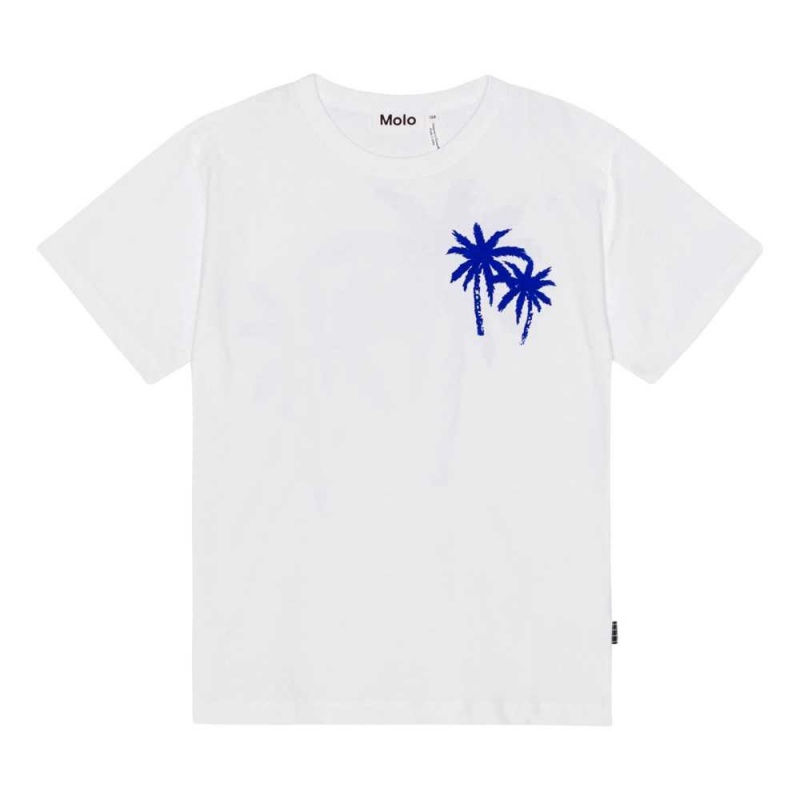 T Shirts Tops Chłopięce Molo Riley Palmtree Love | PL0000768