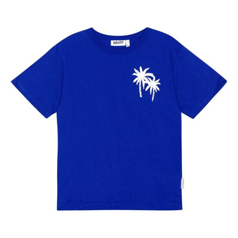 T Shirts Tops Chłopięce Molo Riley Reef Blue | PL0000770