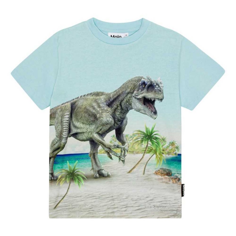 T Shirts Tops Chłopięce Molo Roxo Beach Dino | PL0000809