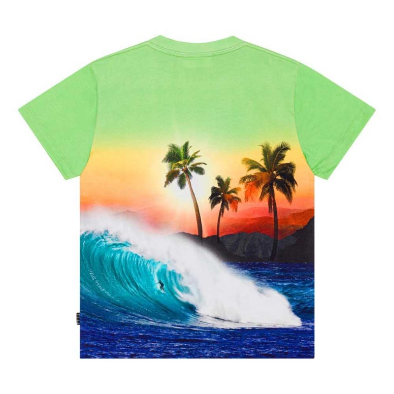 T Shirts Tops Chłopięce Molo Roxo Green Sunset | PL0000771