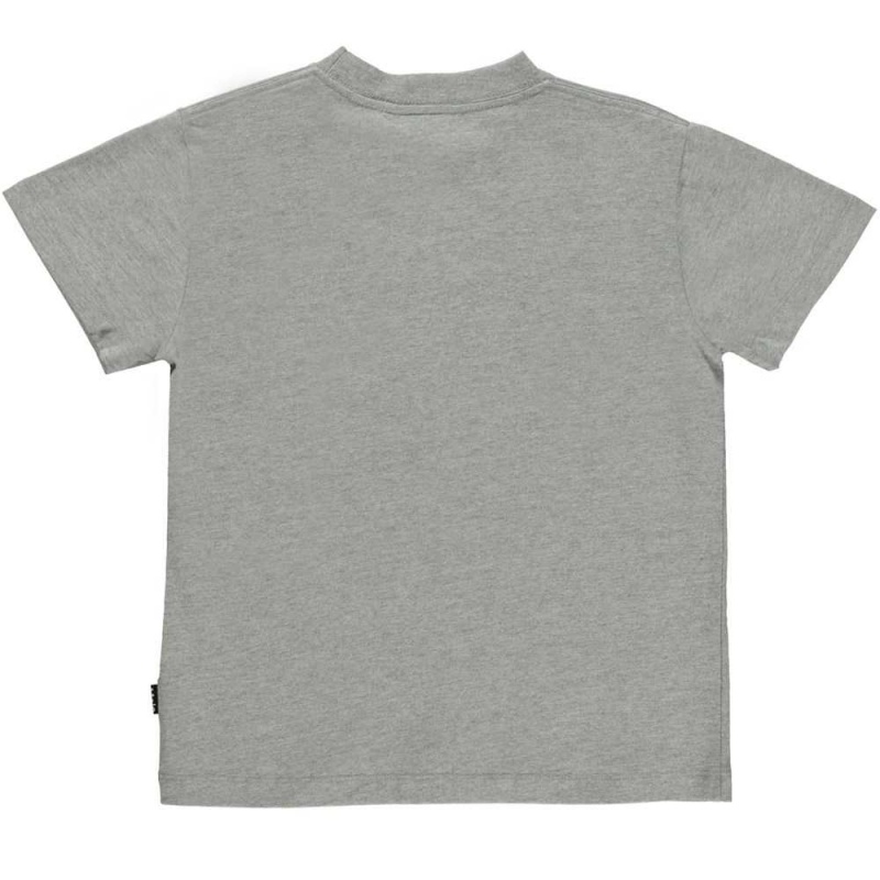 T Shirts Tops Chłopięce Molo Roxo Grey Melange | PL0000871