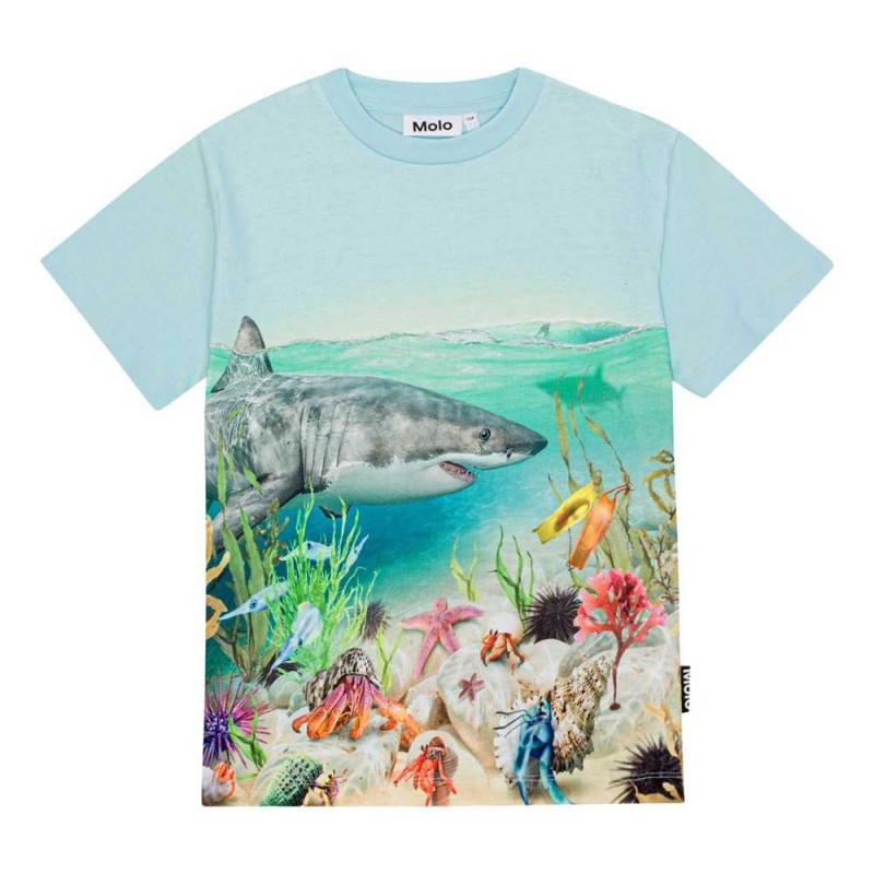 T Shirts Tops Chłopięce Molo Roxo Shore Life | PL0000789