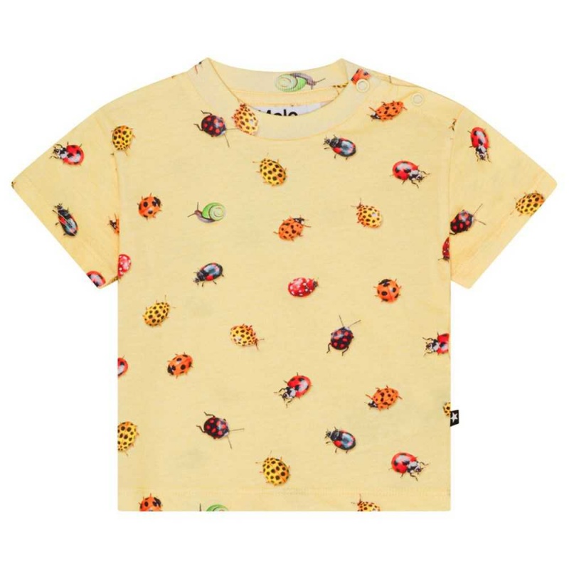 T Shirts Tops Dziewczynka Molo Enzo Coccinella | PL0001430