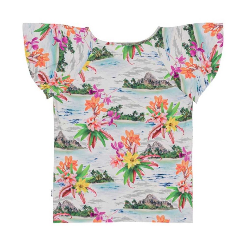 T Shirts Tops Dziewczynka Molo Rachel Tropical Islands | PL0000516