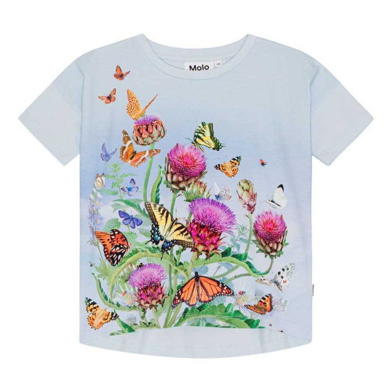 T Shirts Tops Dziewczynka Molo Raeesa Garden Life | PL0000599