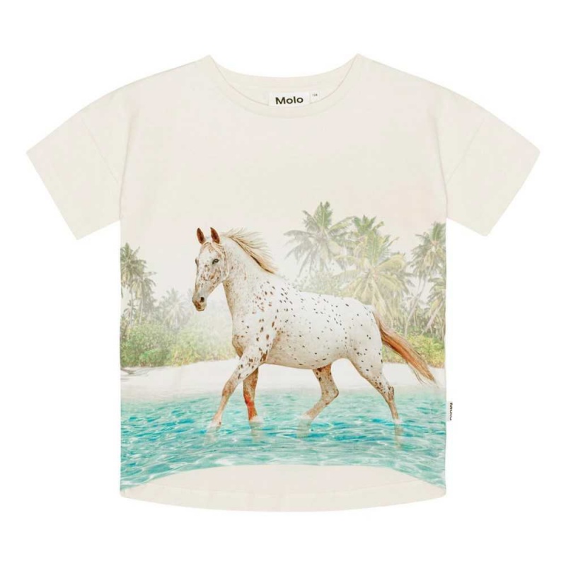 T Shirts Tops Dziewczynka Molo Raeesa Horse On Beach | PL0000523