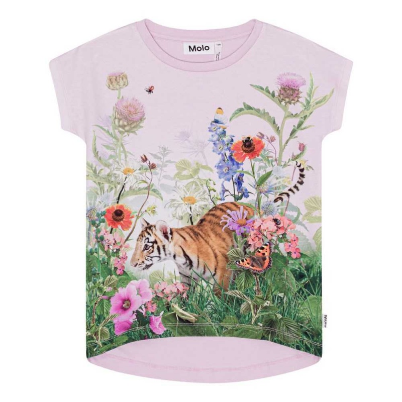 T Shirts Tops Dziewczynka Molo Ragnhilde Garden Explore | PL0000537