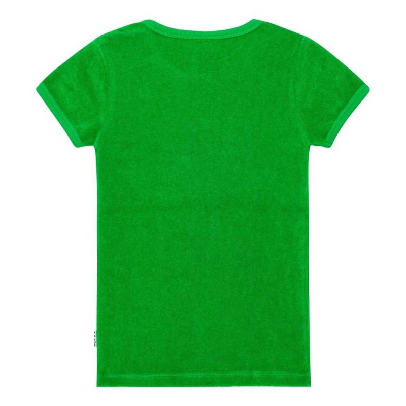 T Shirts Tops Dziewczynka Molo Raquel Classic Green | PL0000504