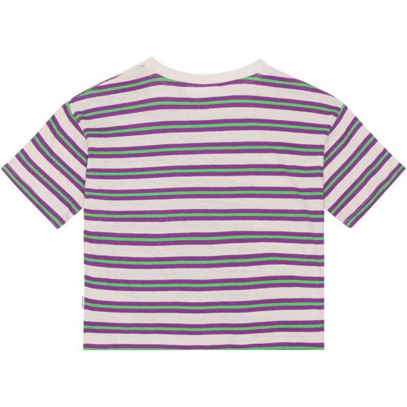 T Shirts Tops Dziewczynka Molo Reinette Purple Green Stripe | PL0000531