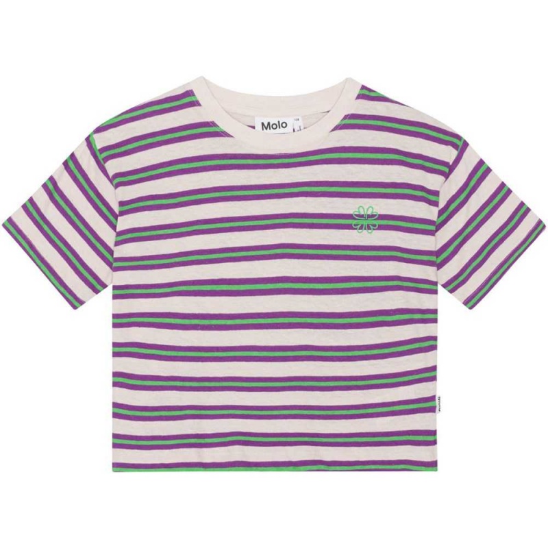 T Shirts Tops Dziewczynka Molo Reinette Purple Green Stripe | PL0000531