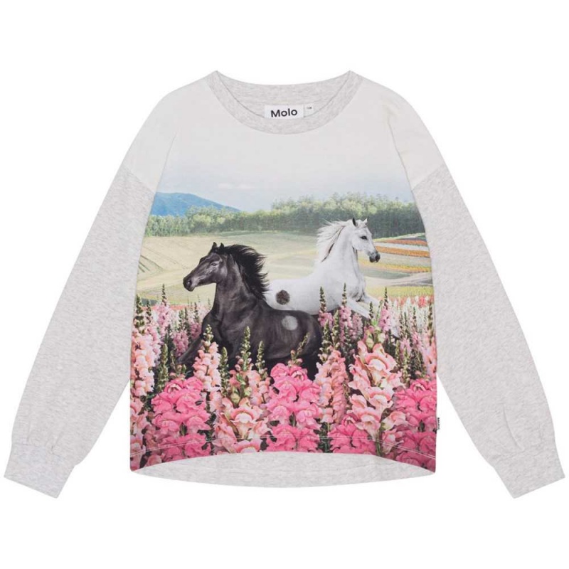 T Shirts Tops Dziewczynka Molo Reniza Meadow Horses | PL0000573